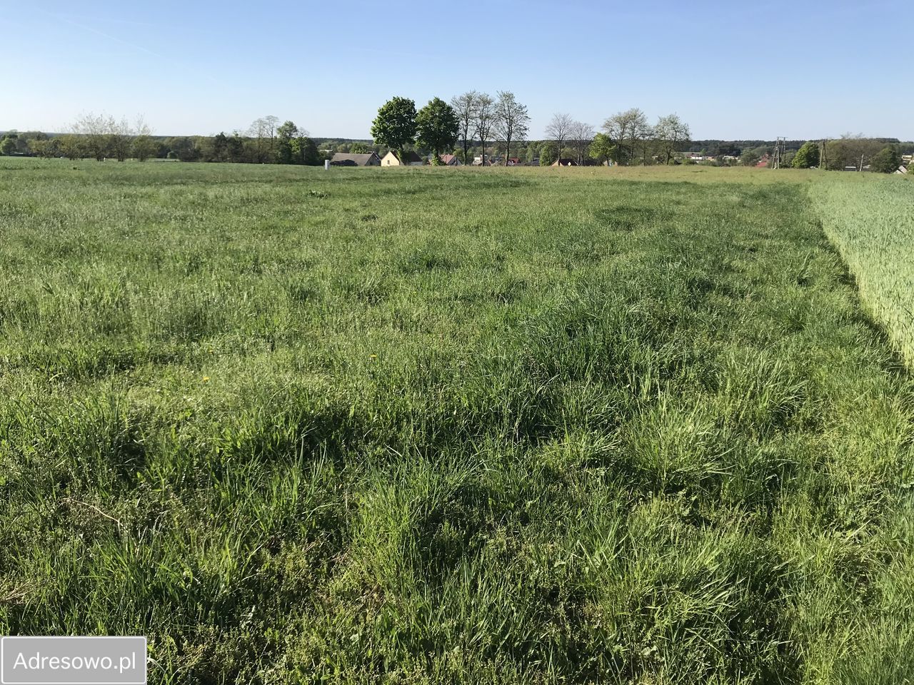 Działka budowlana Mąkoszyce. Zdjęcie 6