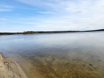 Działka leśna Daniszewice. Zdjęcie 4