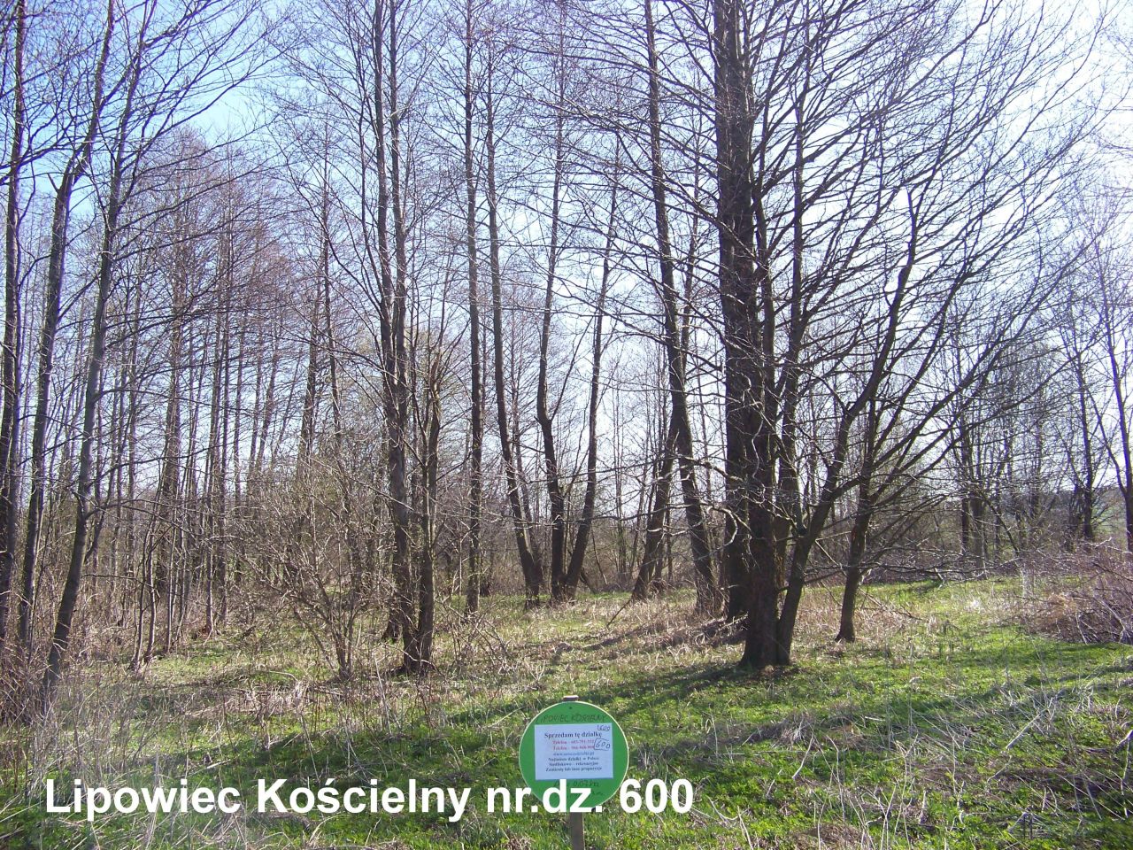 Działka rekreacyjna Lipowiec Kościelny. Zdjęcie 3