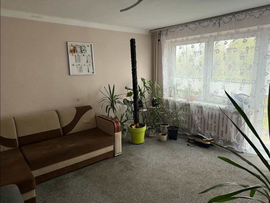 dom wolnostojący, 6 pokoi Chrzanowo. Zdjęcie 13