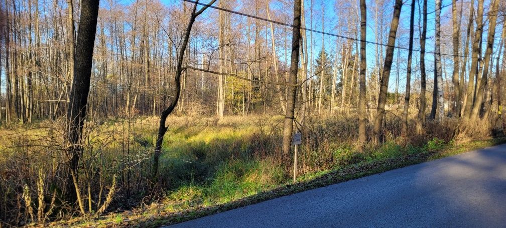 Działka budowlana Jarocin. Zdjęcie 6