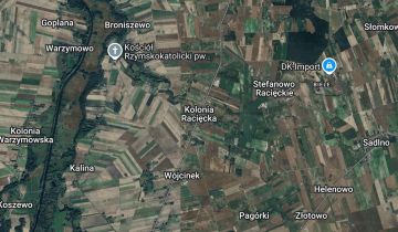 Działka rolna Kolonia Racięcka