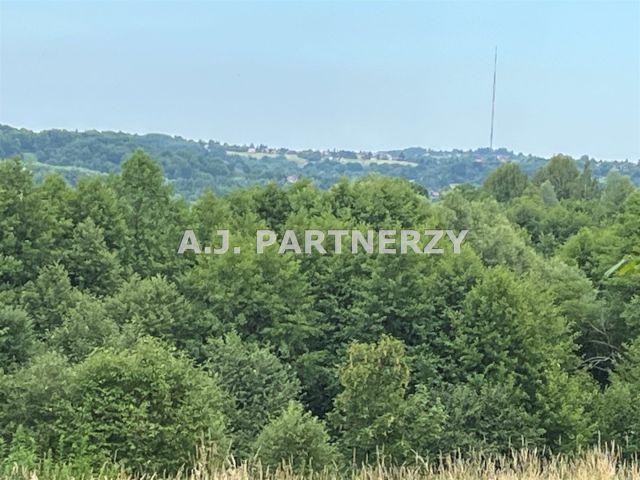 Działka budowlana Golkowice. Zdjęcie 2