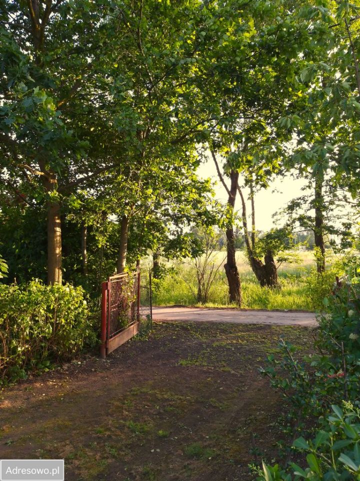 dom wolnostojący, 2 pokoje Dymitrów Duży. Zdjęcie 20