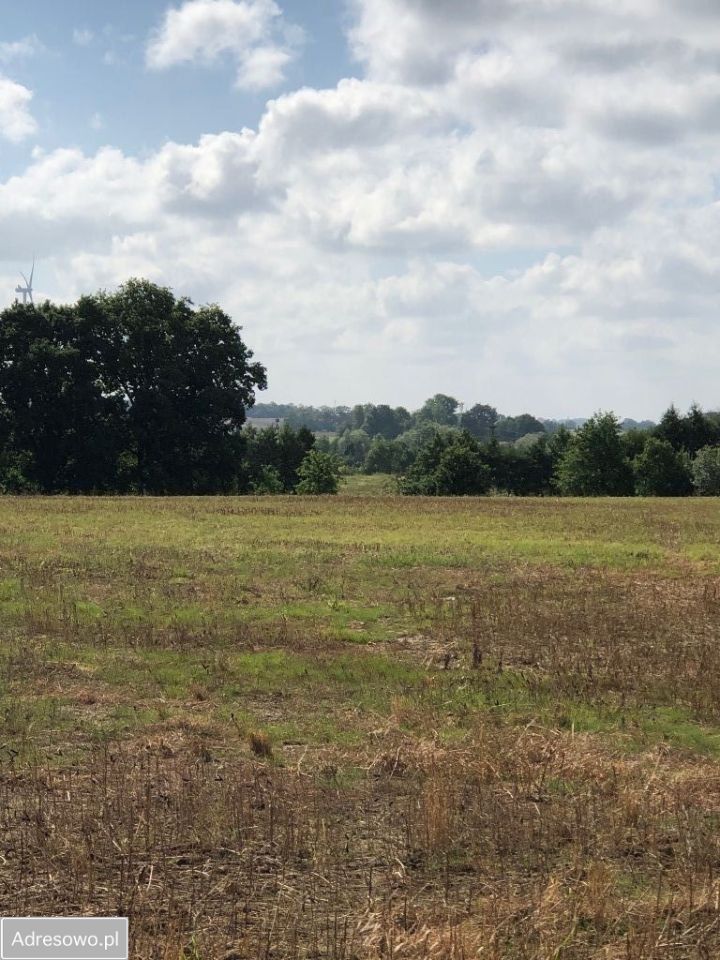 Działka budowlana Łekno. Zdjęcie 4