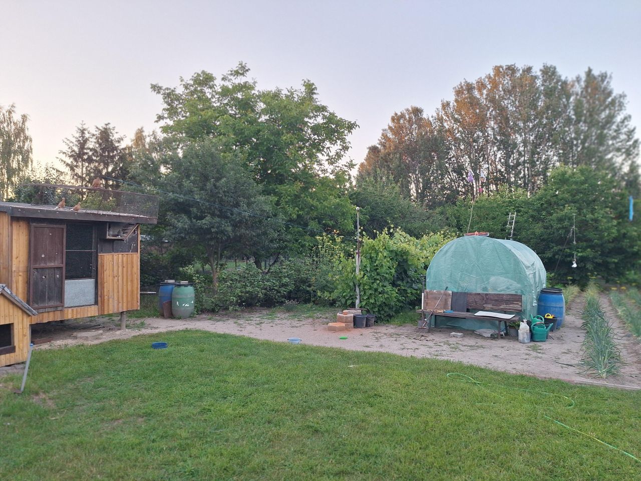 dom wolnostojący, 4 pokoje Niedźwiada. Zdjęcie 5