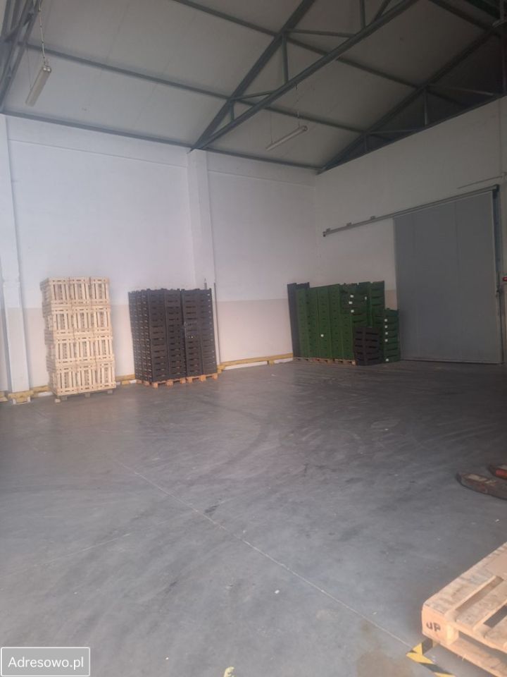 Hala/magazyn Wronin. Zdjęcie 8