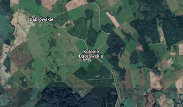 Działka rolna Kolonie Dąbrowskie