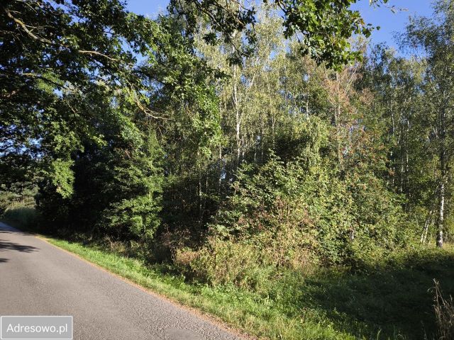 Działka rolno-budowlana Waleriany. Zdjęcie 1