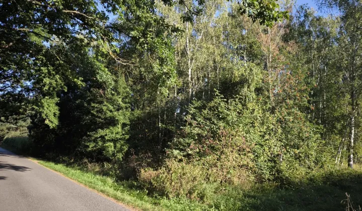 Działka rolno-budowlana Waleriany