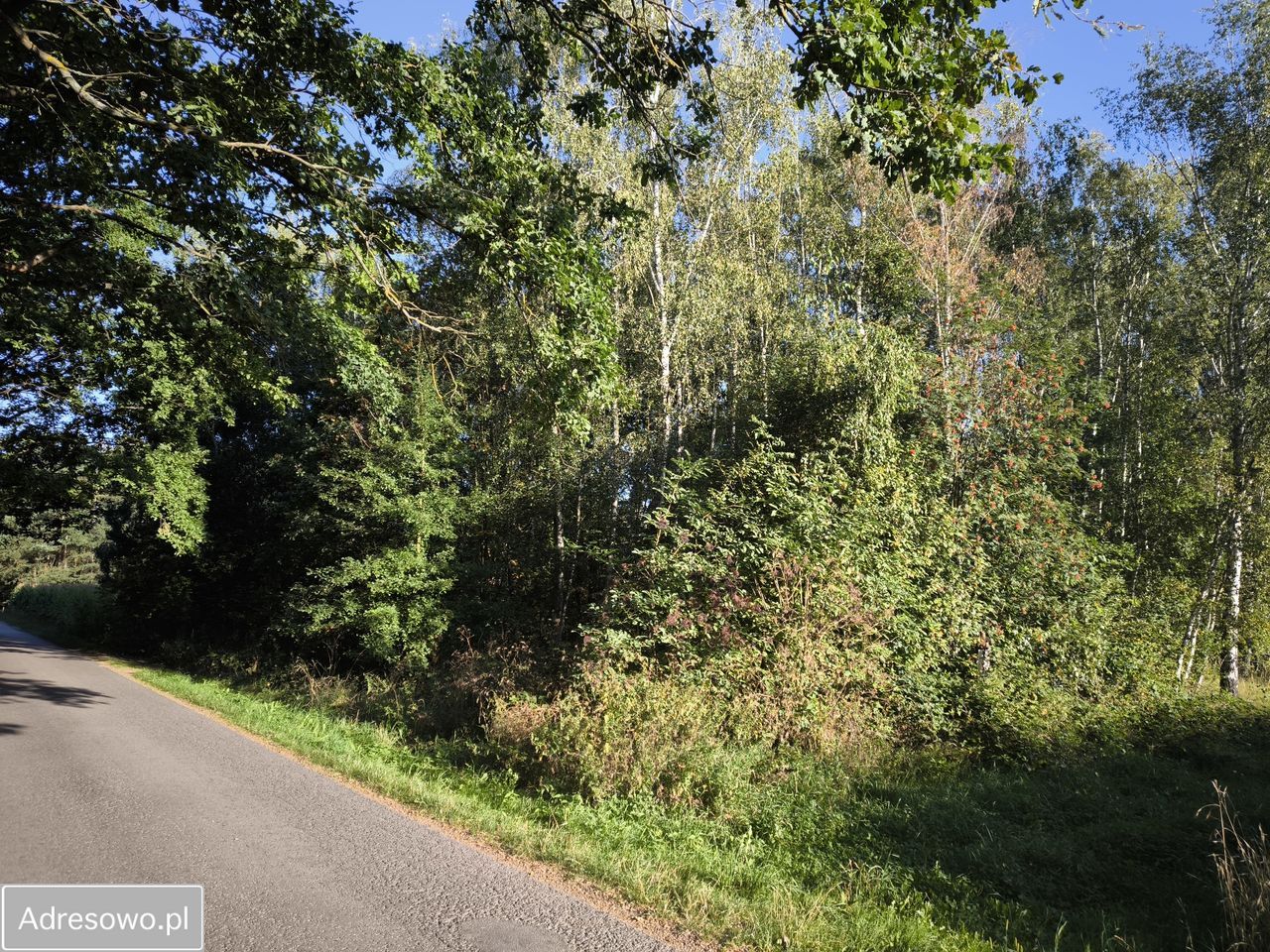 Działka rolno-budowlana Waleriany