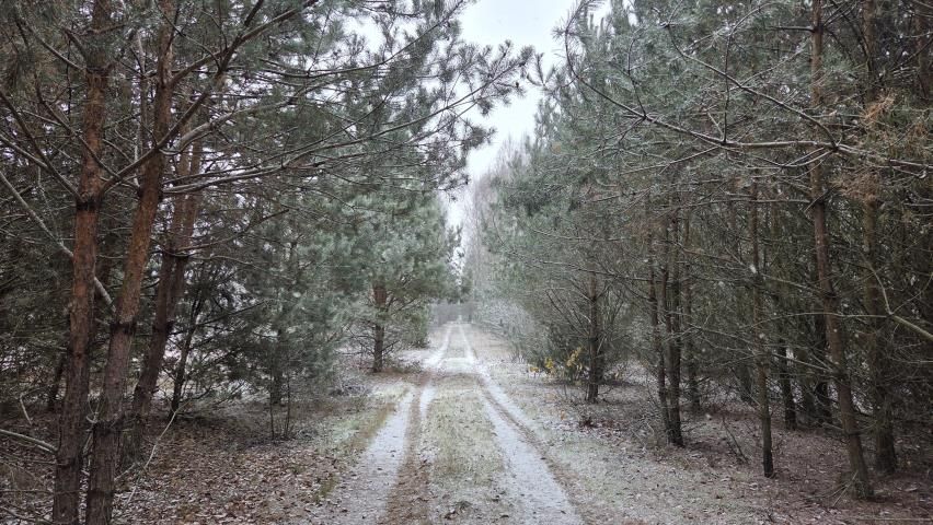 Działka rekreacyjna Osada-Wola. Zdjęcie 3