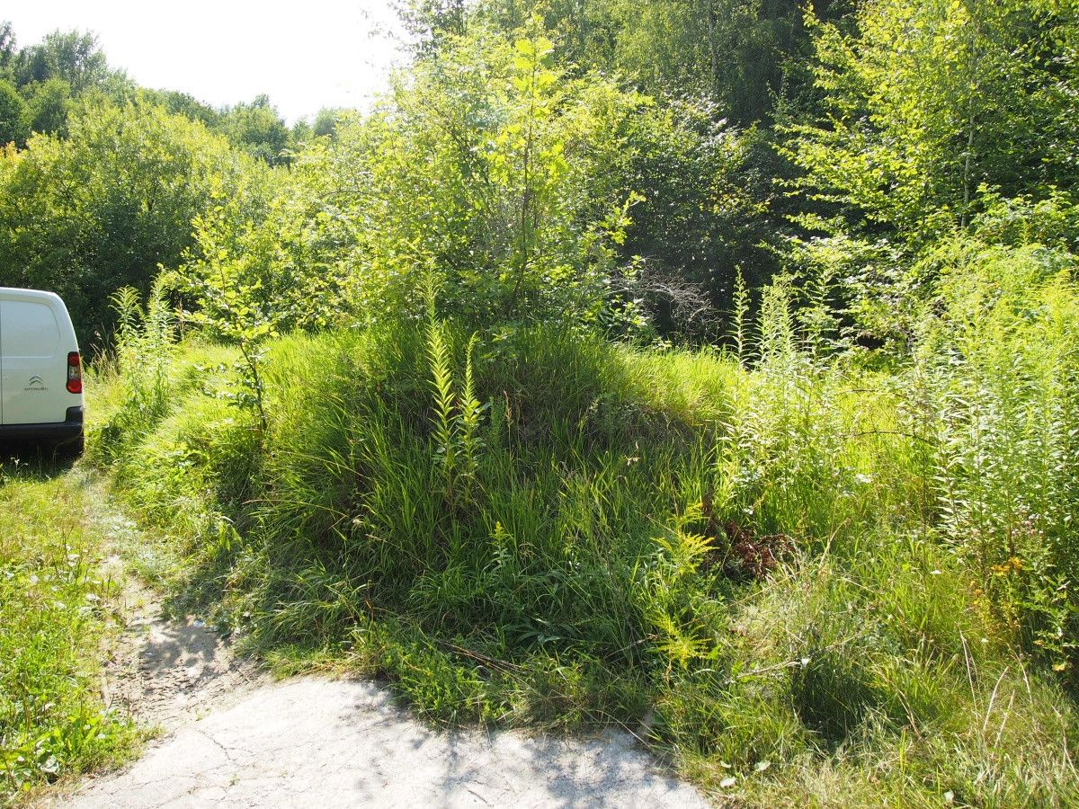 Działka rekreacyjna Śladów. Zdjęcie 15