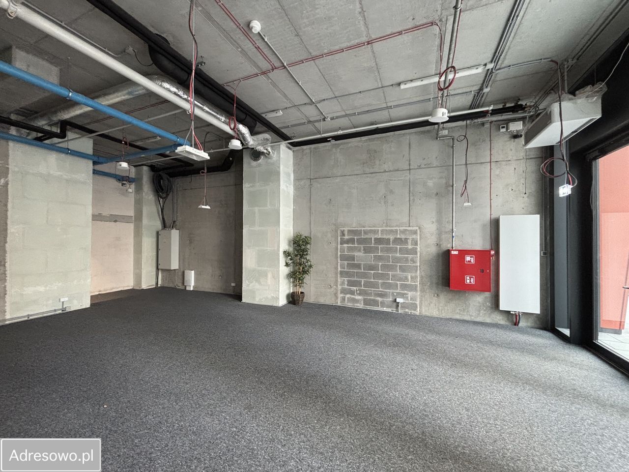 Lokal Warszawa Wola. Zdjęcie 4