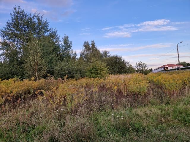 Działka inwestycyjna Stare Lipiny. Zdjęcie 5
