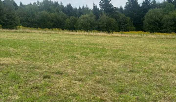 Działka budowlana Wołkowyja
