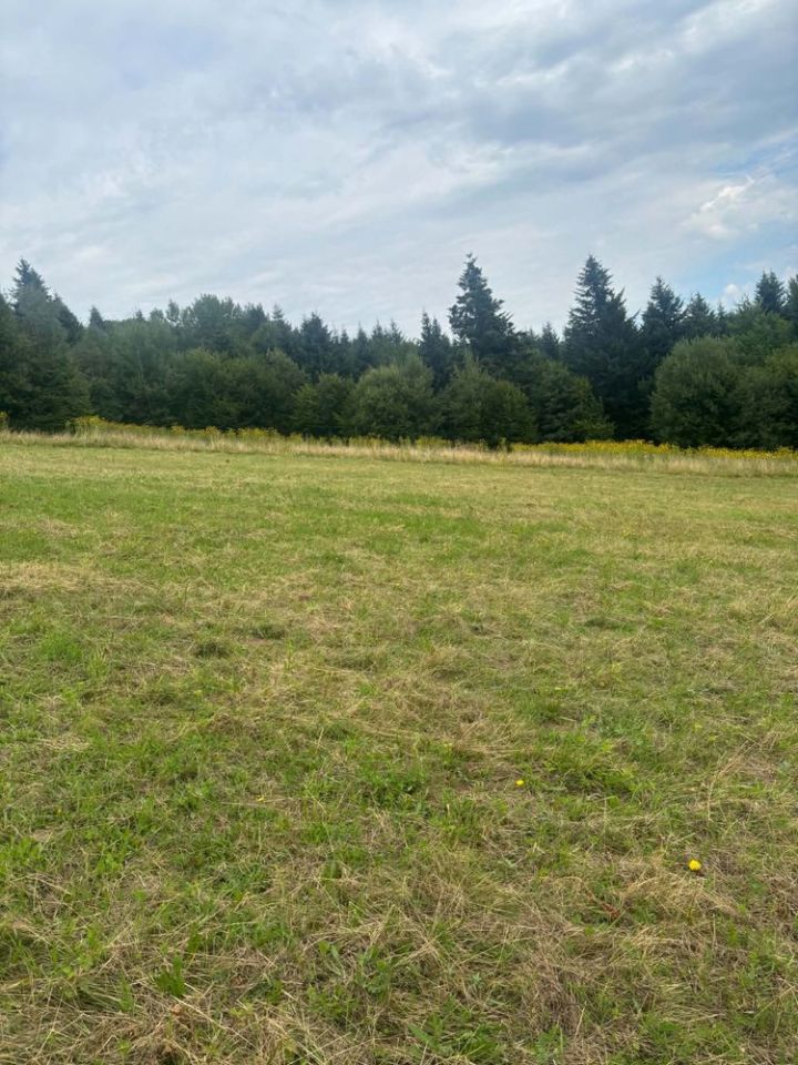 Działka budowlana Wołkowyja. Zdjęcie 1