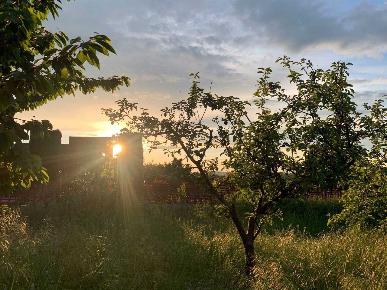 Działka rod Krzywiń. Zdjęcie 8