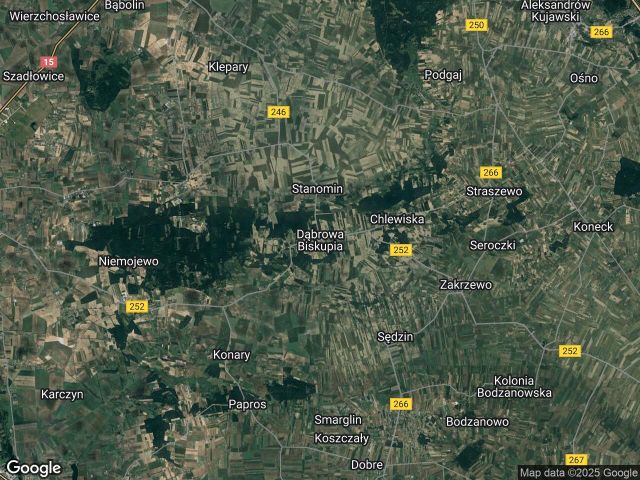 Działka rolna Dąbrowa Biskupia. Zdjęcie 1