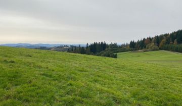 Działka inwestycyjna Jaworzynka Łupienie