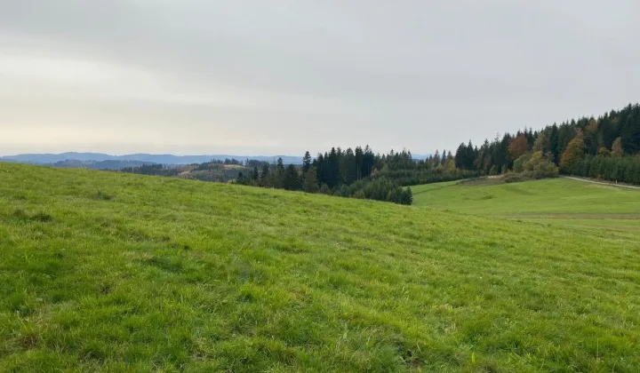 Działka inwestycyjna Jaworzynka Łupienie