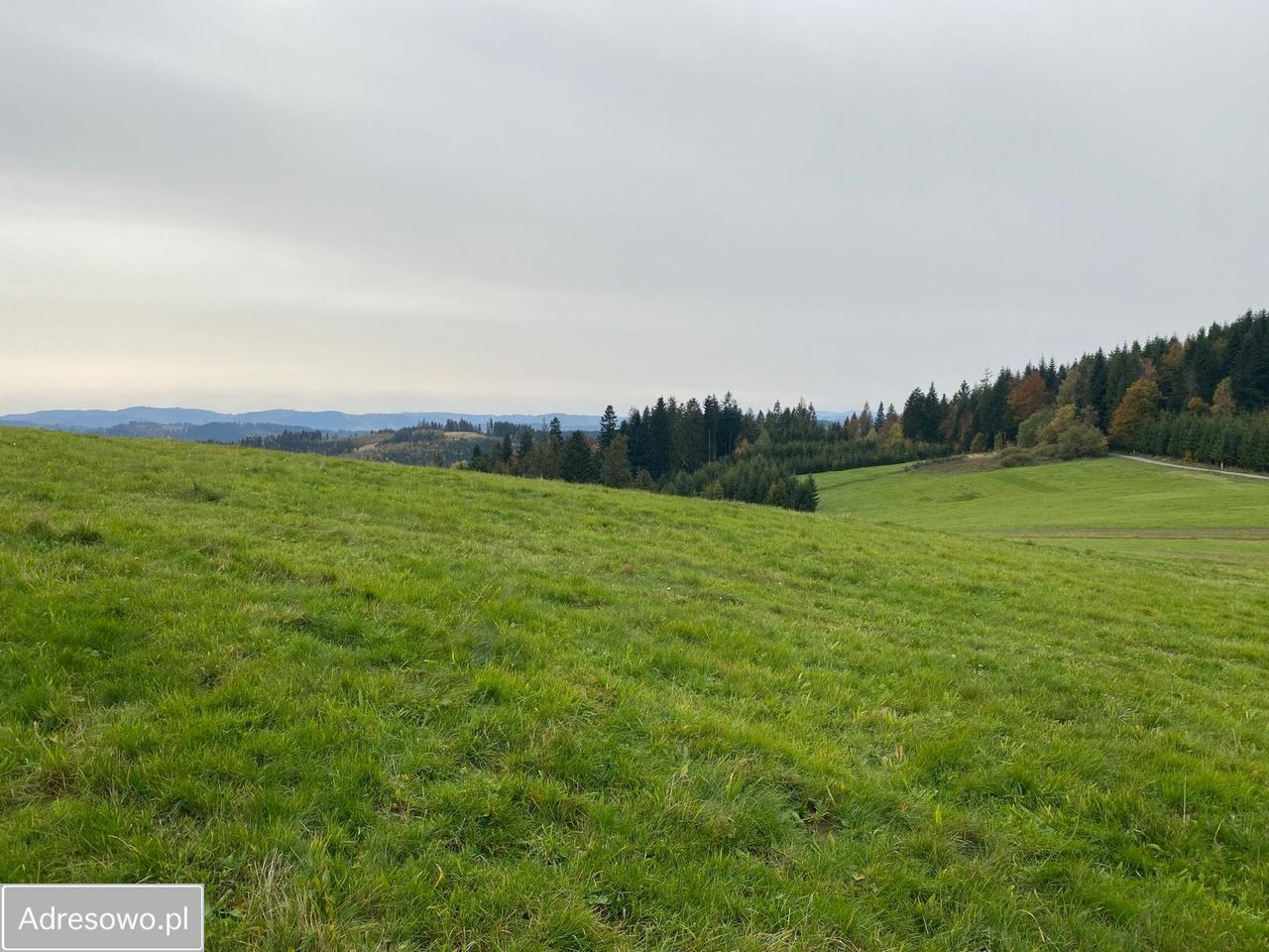 Działka inwestycyjna Jaworzynka Łupienie