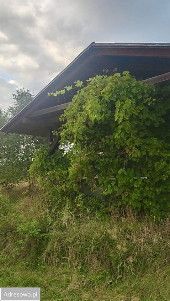 Działka budowlana Wysowa-Zdrój. Zdjęcie 3