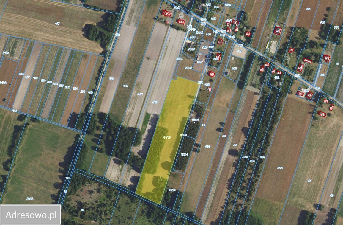 Działka rolno-budowlana Aleksandria. Zdjęcie 9