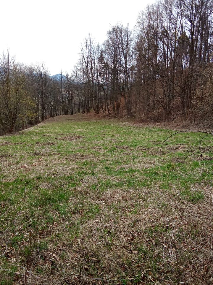 Działka rolna Nowy Waliszów, Nowy Waliszów. Zdjęcie 2