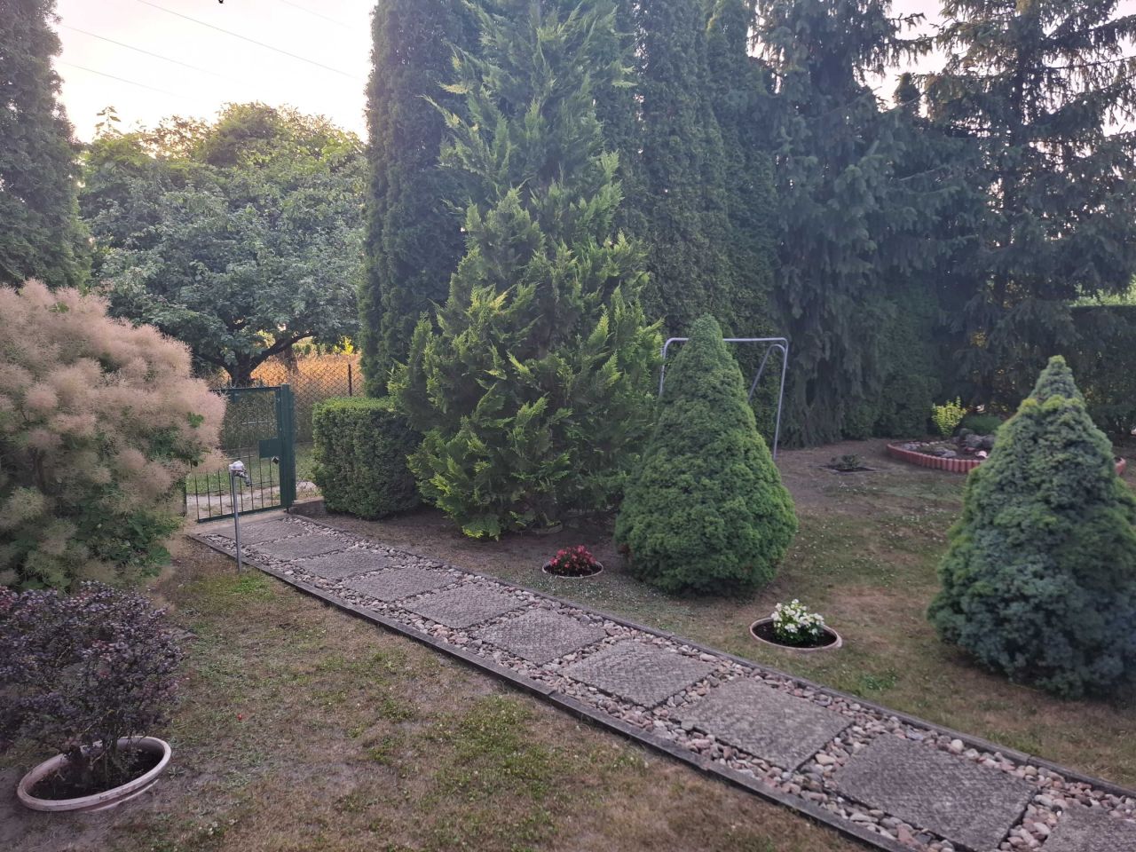Działka rod Ciechanów. Zdjęcie 7