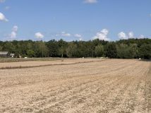 Działka rolno-budowlana Bystrzejowice Drugie. Zdjęcie 2