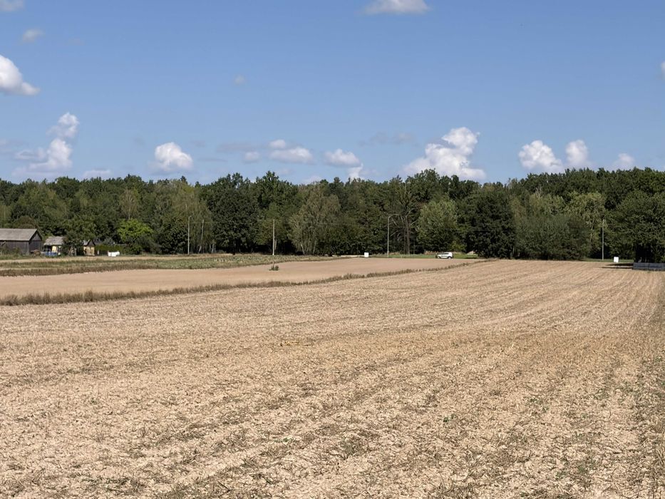 Działka rolno-budowlana Bystrzejowice Drugie. Zdjęcie 3