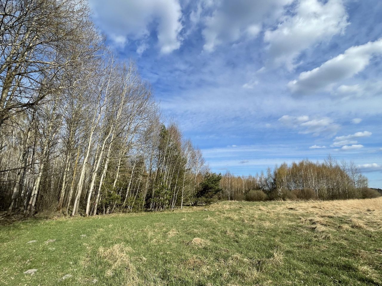 Działka rolna Zalesna. Zdjęcie 13