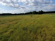 Działka budowlana Przespolew Pański. Zdjęcie 1