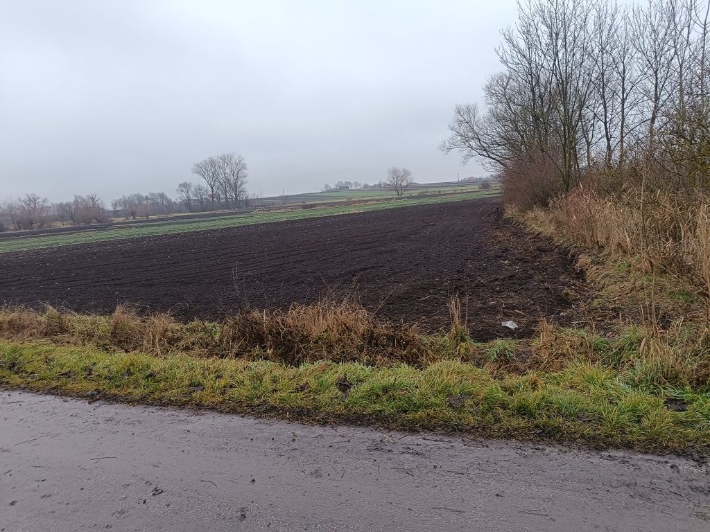 Działka budowlana Wierzbica. Zdjęcie 2