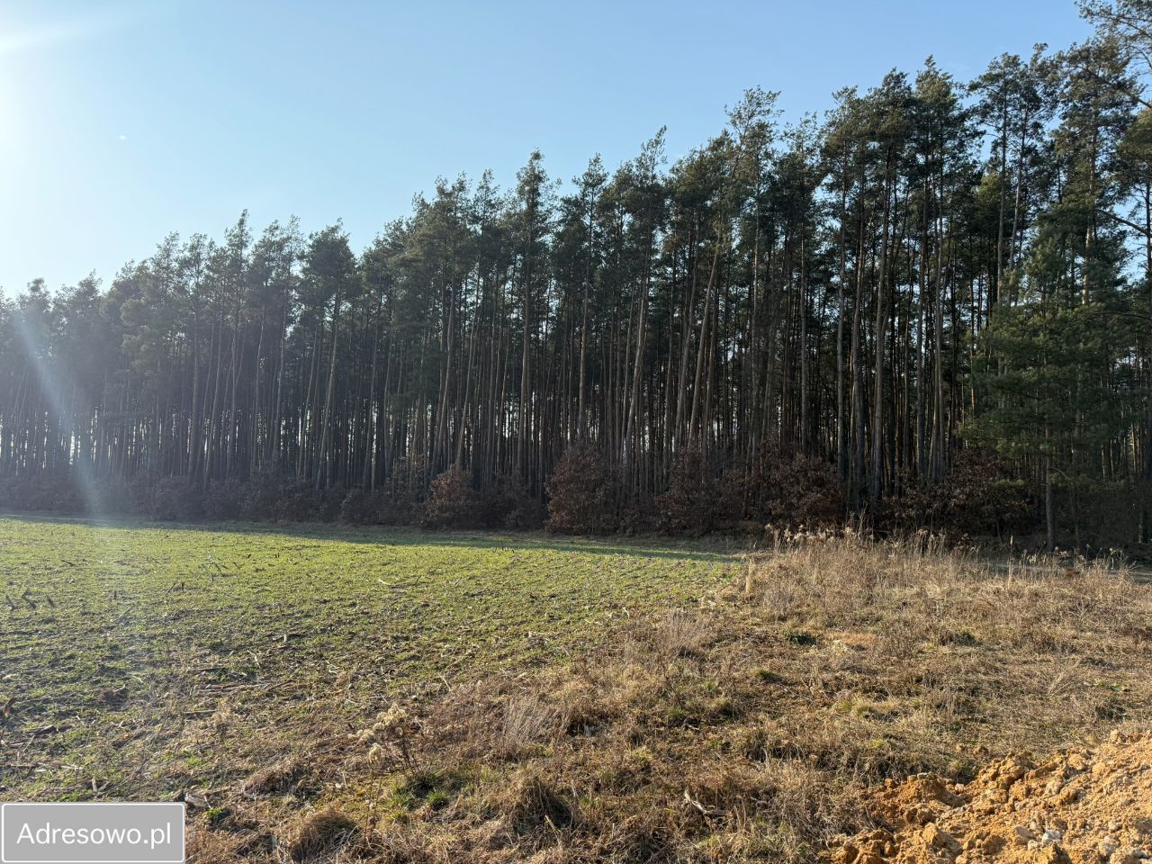 Działka budowlana Bystrzyca, ul. Jagodowa. Zdjęcie 12