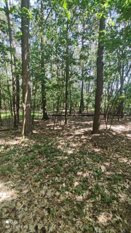 Działka budowlana Bądzyń, ul. Zbigniewa. Zdjęcie 1