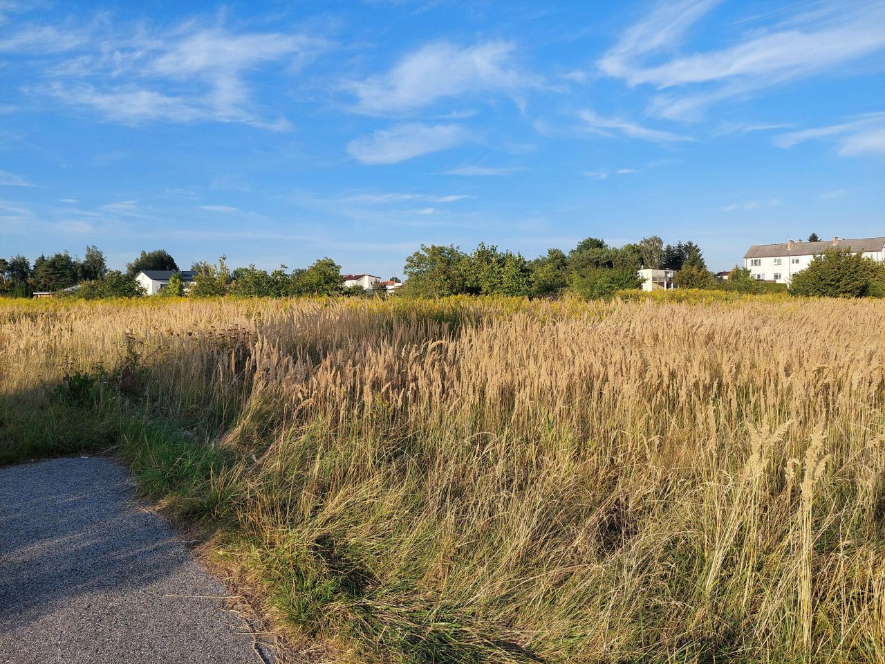 Działka rolna Opacz-Kolonia, ul. Zofii. Zdjęcie 2