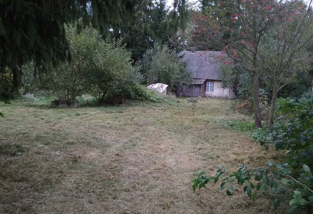 Działka siedliskowa Dragany. Zdjęcie 2