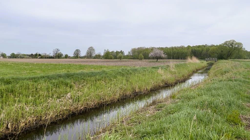 Działka budowlana Orzechów-Kolonia. Zdjęcie 2