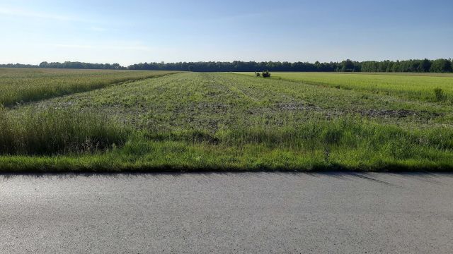 Działka budowlana Zakrzew-Las. Zdjęcie 1