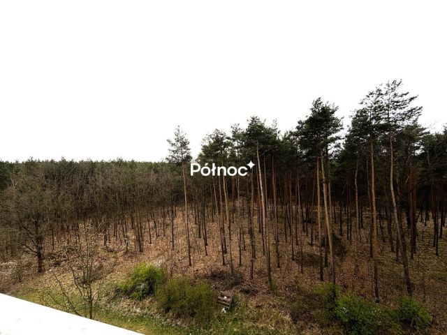 Mieszkanie 2-pokojowe Szczytnica. Zdjęcie 4