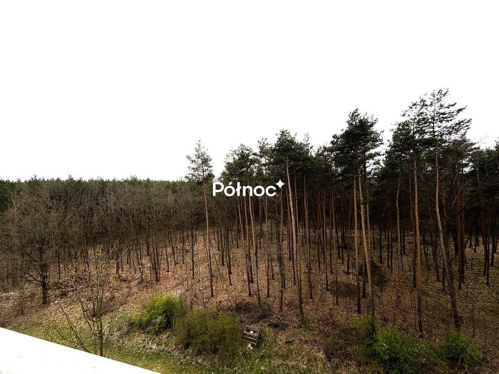 Mieszkanie 2-pokojowe Szczytnica. Zdjęcie 4