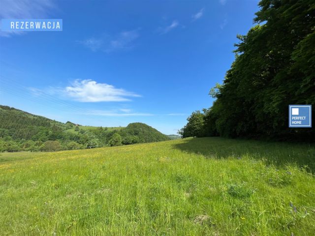 Działka rekreacyjna Rzeczka. Zdjęcie 1