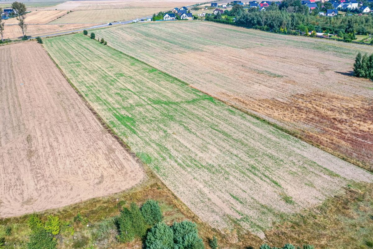 Działka inwestycyjna Łebcz, ul. dr. Augusta Oetkera. Zdjęcie 8