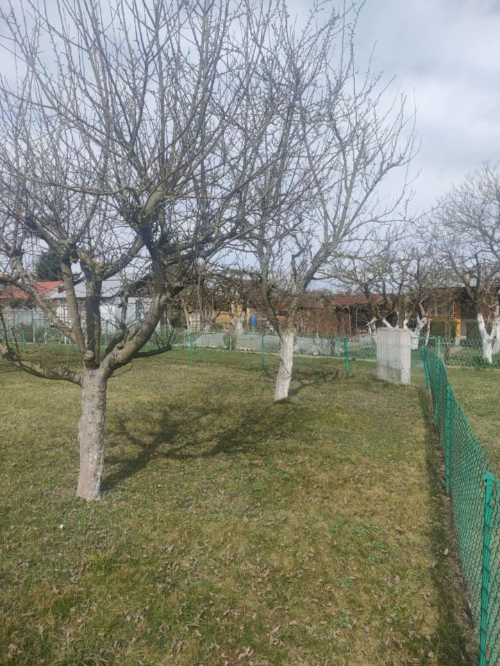 Działka rod Lubin Przylesie, ul. Józefa Piłsudskiego. Zdjęcie 7