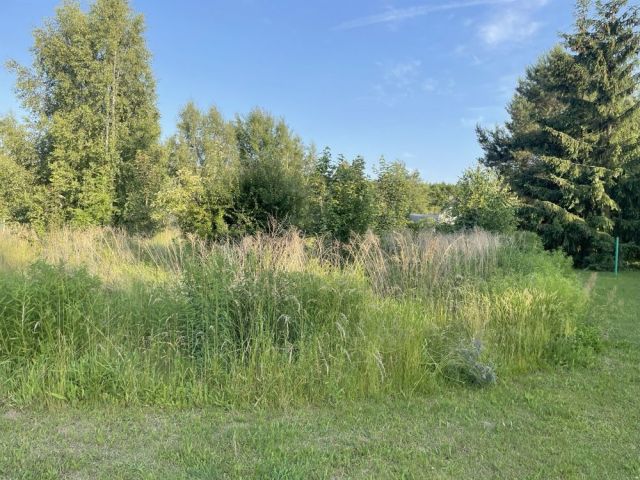 Działka rekreacyjna Kosewo. Zdjęcie 1