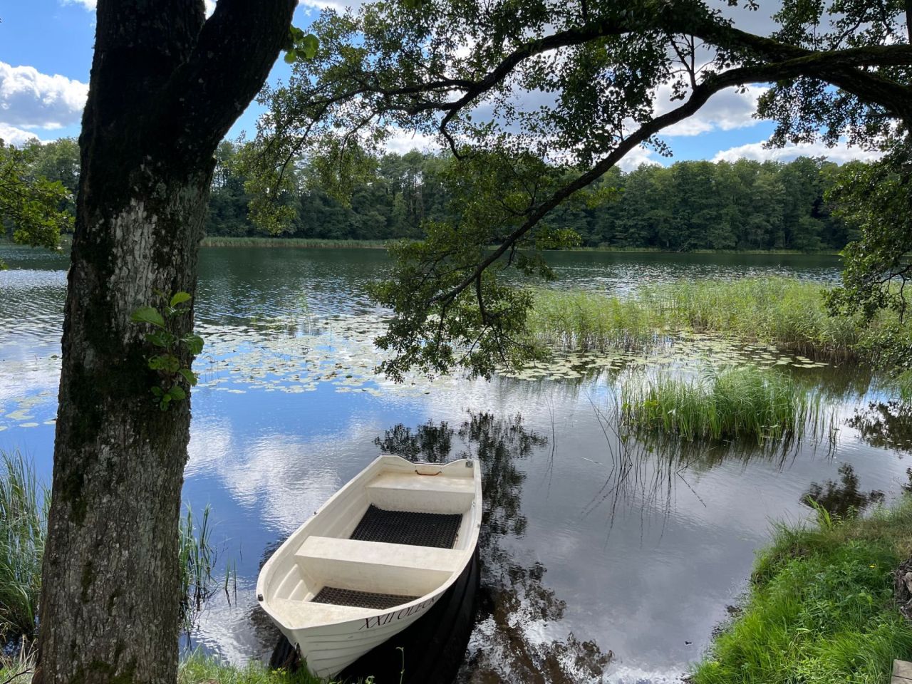 Działka budowlana Gordejki. Zdjęcie 5