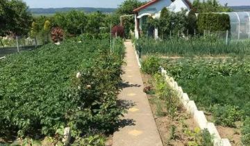 Działka rod Gryfino