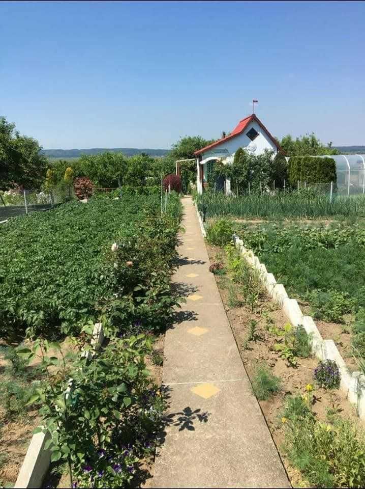 Działka rod Gryfino. Zdjęcie 2